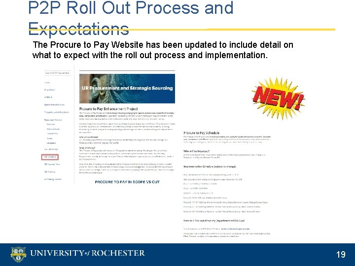 P 2 P Roll Out Process and Expectations The Procure to Pay Website has