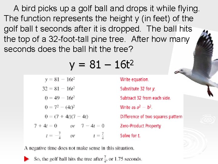 A bird picks up a golf ball and drops it while flying. The function A bird picks up a golf ball and drops it while flying. The function
