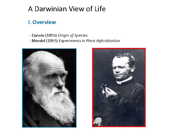 A Darwinian View of Life I. Overview - Darwin (1859) Origin of Species -