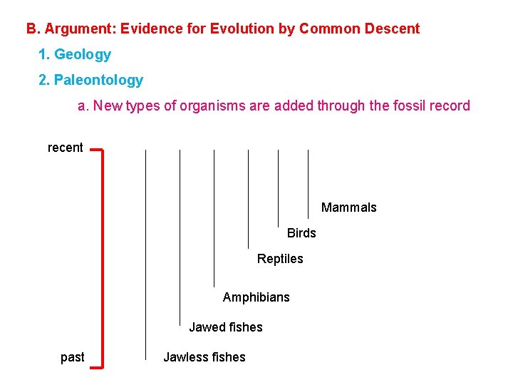 B. Argument: Evidence for Evolution by Common Descent 1. Geology 2. Paleontology a. New