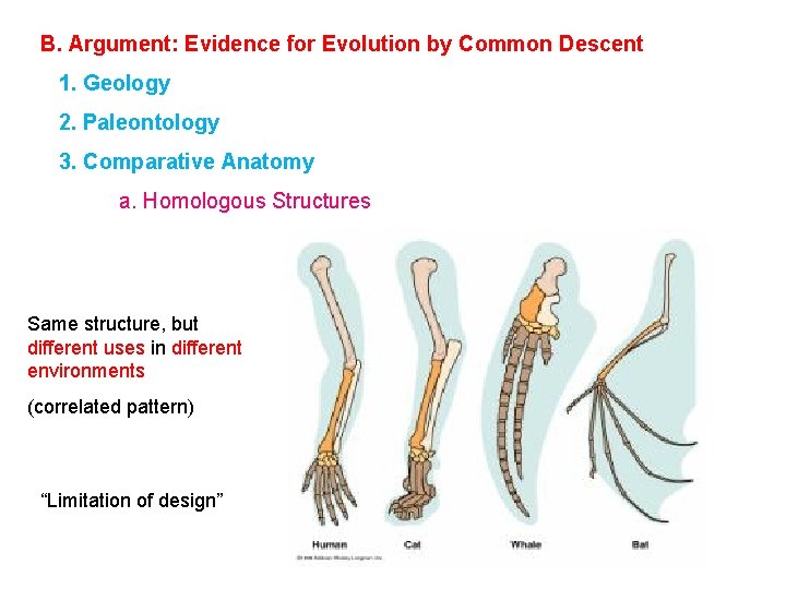 B. Argument: Evidence for Evolution by Common Descent 1. Geology 2. Paleontology 3. Comparative