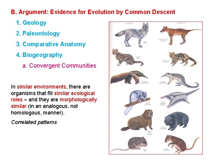 B. Argument: Evidence for Evolution by Common Descent 1. Geology 2. Paleontology 3. Comparative