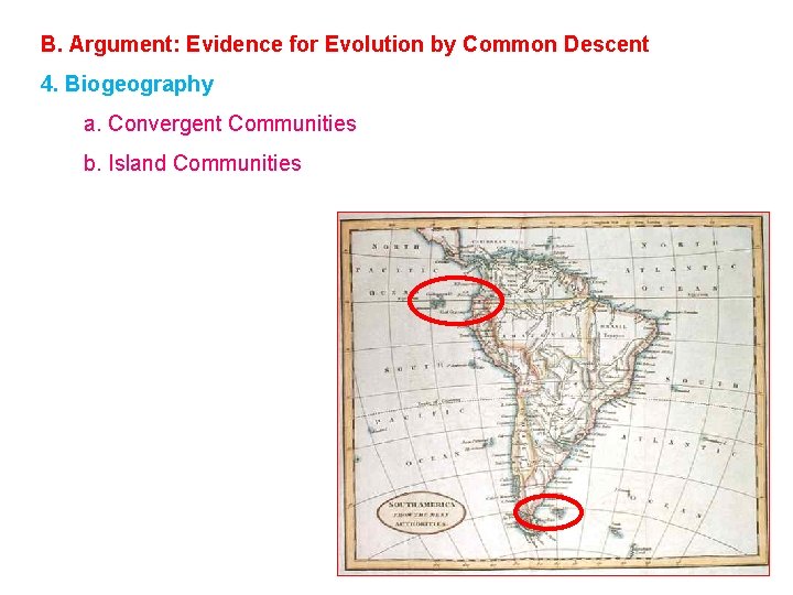 B. Argument: Evidence for Evolution by Common Descent 4. Biogeography a. Convergent Communities b.