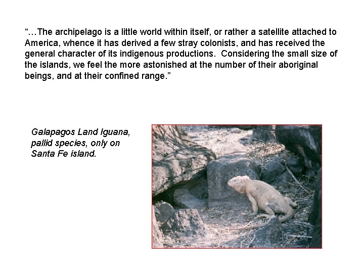 “…The archipelago is a little world within itself, or rather a satellite attached to