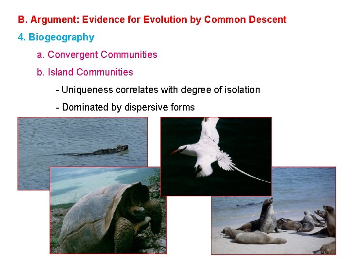 B. Argument: Evidence for Evolution by Common Descent 4. Biogeography a. Convergent Communities b.
