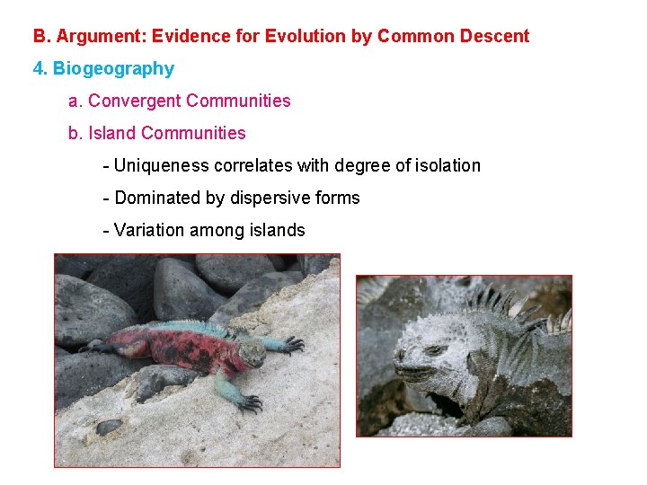 B. Argument: Evidence for Evolution by Common Descent 4. Biogeography a. Convergent Communities b.