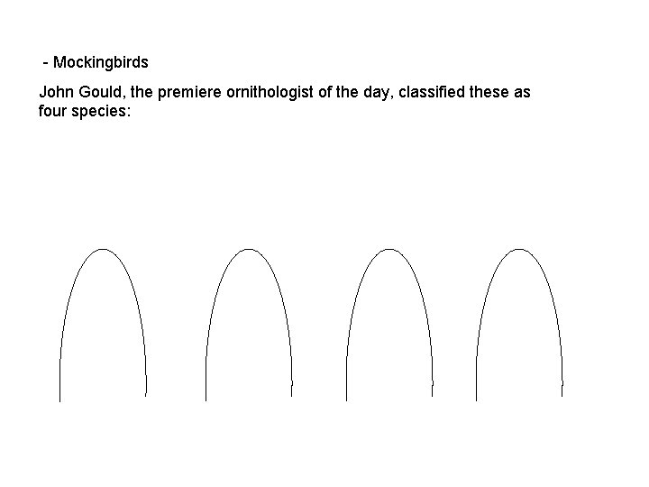 - Mockingbirds John Gould, the premiere ornithologist of the day, classified these as four