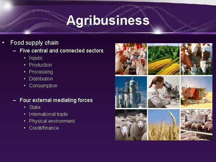 Agribusiness • Food supply chain – Five central and connected sectors • • •