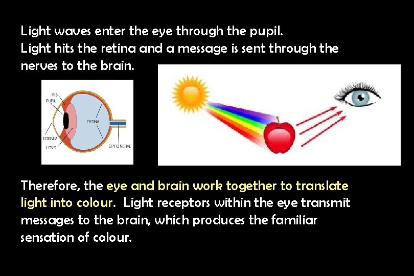 Light waves enter the eye through the pupil. Light hits the retina and a