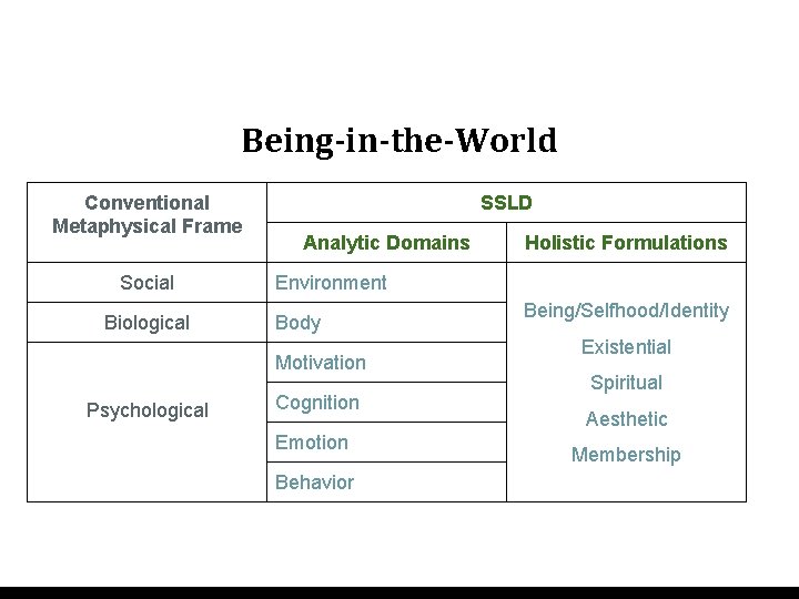 Being-in-the-World Conventional Metaphysical Frame Social Biological SSLD Analytic Domains Environment Body Motivation Psychological Holistic