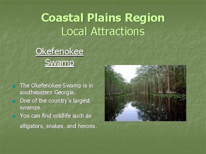 Coastal Plains Region Local Attractions Okefenokee Swamp n n n The Okefenokee Swamp is