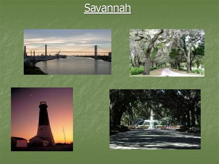 Savannah 