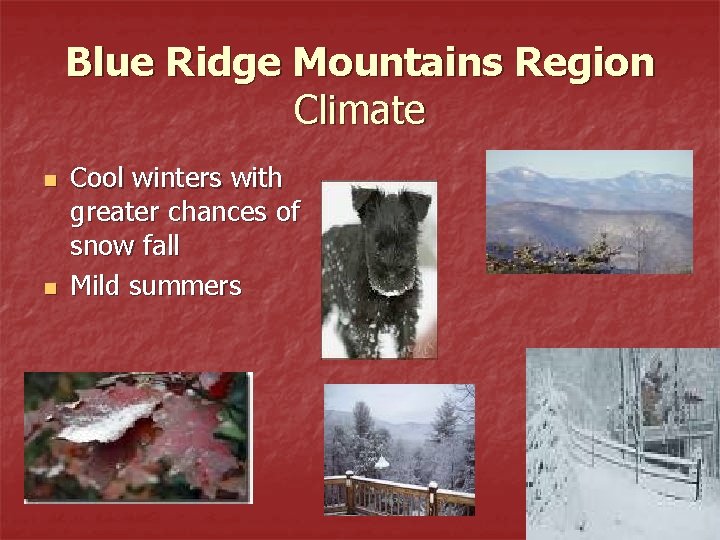 Blue Ridge Mountains Region Climate n n Cool winters with greater chances of snow