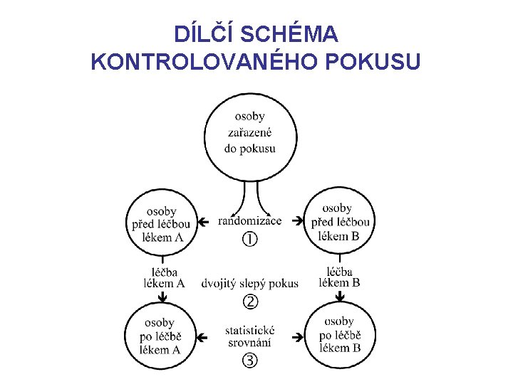 DÍLČÍ SCHÉMA KONTROLOVANÉHO POKUSU 