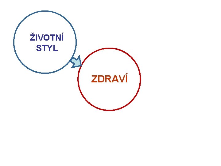 ŽIVOTNÍ STYL ZDRAVÍ 