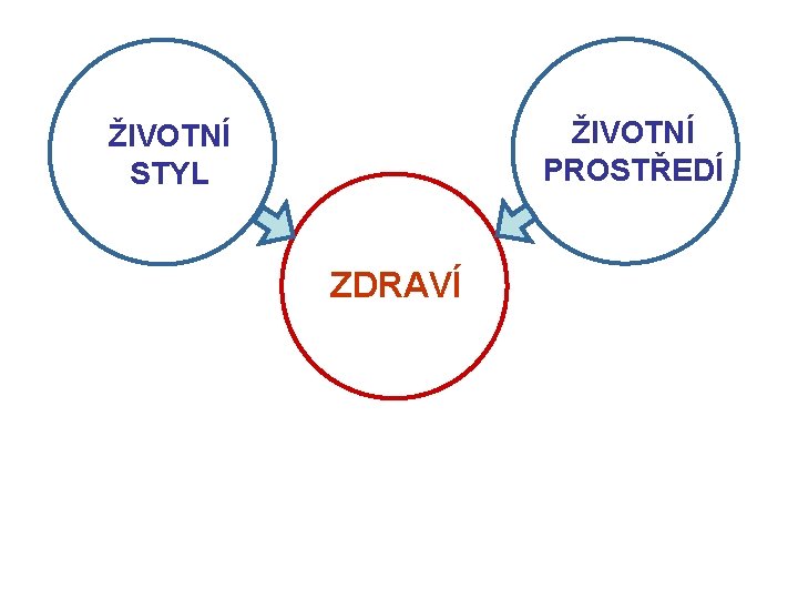 ŽIVOTNÍ PROSTŘEDÍ ŽIVOTNÍ STYL ZDRAVÍ 