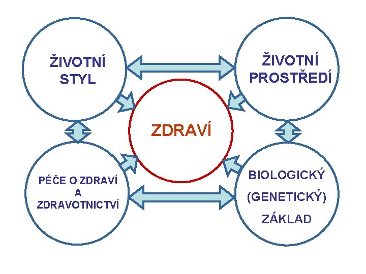 ŽIVOTNÍ PROSTŘEDÍ ŽIVOTNÍ STYL ZDRAVÍ PÉČE O ZDRAVÍ A ZDRAVOTNICTVÍ BIOLOGICKÝ (GENETICKÝ) ZÁKLAD 