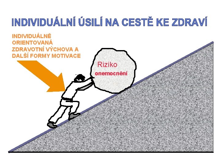 INDIVIDUÁLNĚ ORIENTOVANÁ ZDRAVOTNÍ VÝCHOVA A DALŠÍ FORMY MOTIVACE Riziko onemocnění 