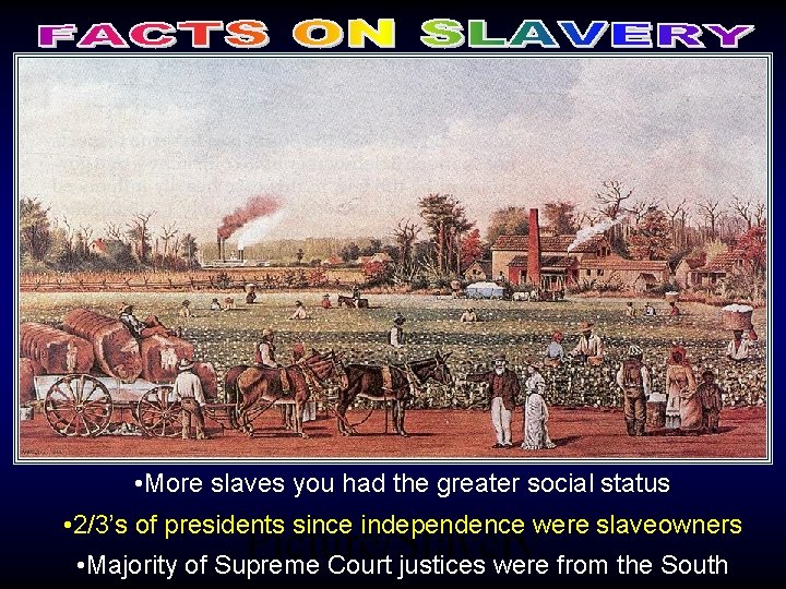  • More slaves you had the greater social status • 2/3’s of presidents