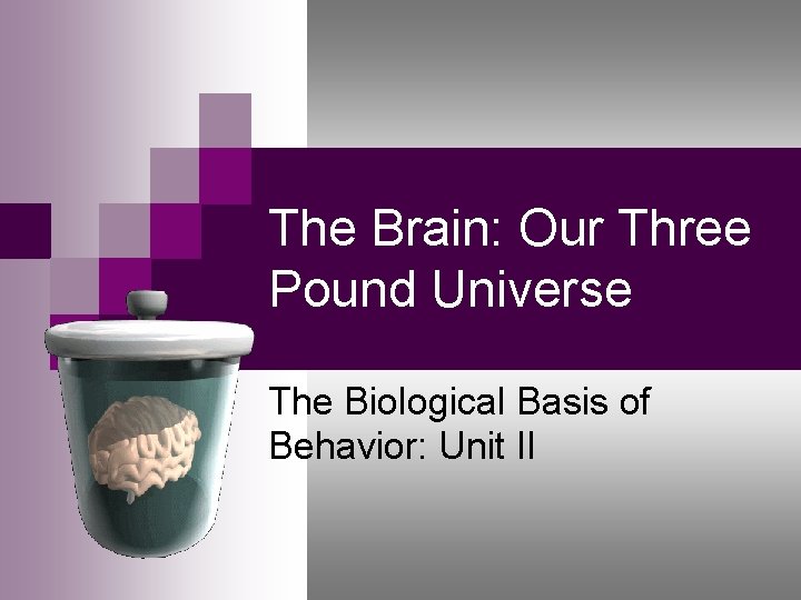 The Brain: Our Three Pound Universe The Biological Basis of Behavior: Unit II 