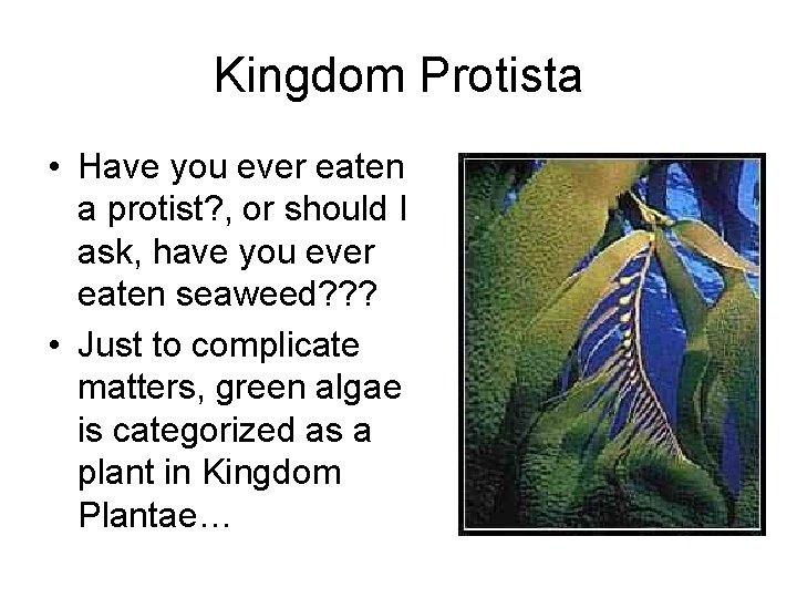 Kingdom Protista • Have you ever eaten a protist? , or should I ask,