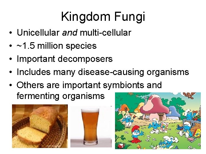 Kingdom Fungi • • • Unicellular and multi-cellular ~1. 5 million species Important decomposers