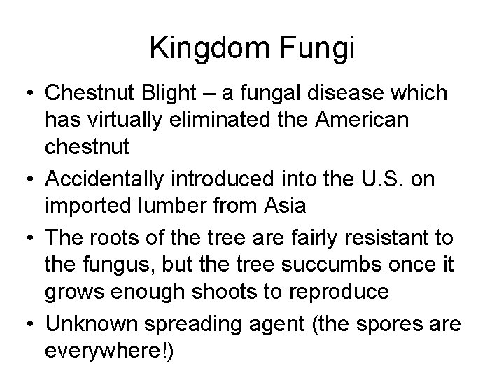 Kingdom Fungi • Chestnut Blight – a fungal disease which has virtually eliminated the