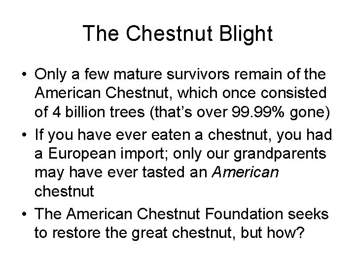 The Chestnut Blight • Only a few mature survivors remain of the American Chestnut,