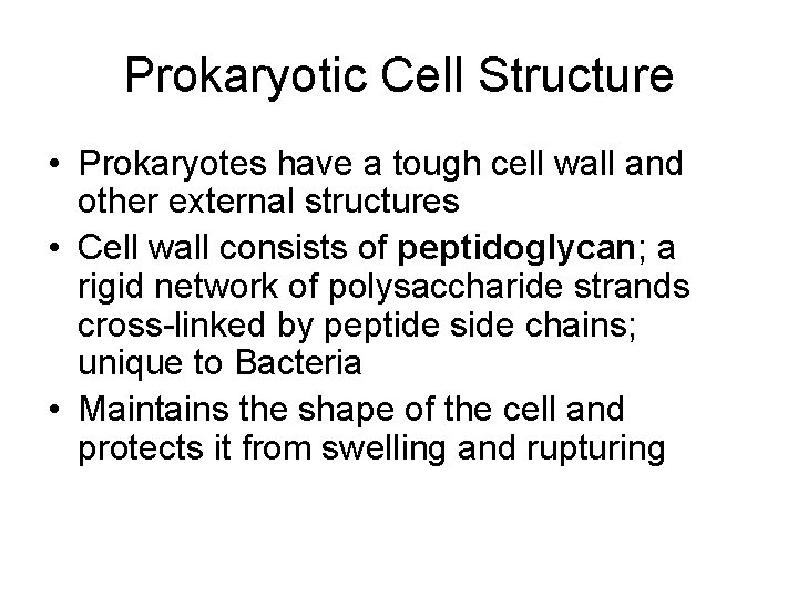 Prokaryotic Cell Structure • Prokaryotes have a tough cell wall and other external structures