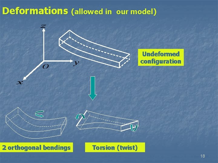 Deformations (allowed in our model) Undeformed configuration 2 orthogonal bendings Torsion (twist) 18 