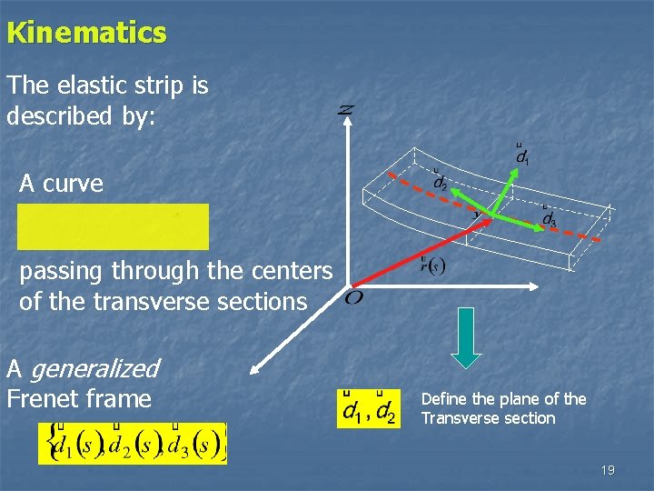 Kinematics The elastic strip is described by: A curve passing through the centers of