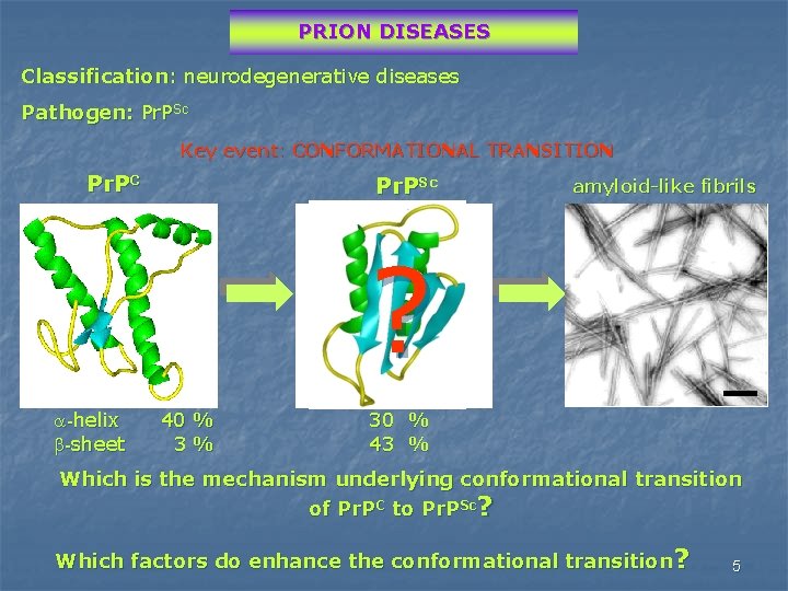 PRION DISEASES Classification: neurodegenerative diseases Pathogen: Pr. PSc Key event: CONFORMATIONAL TRANSITION Pr. PC