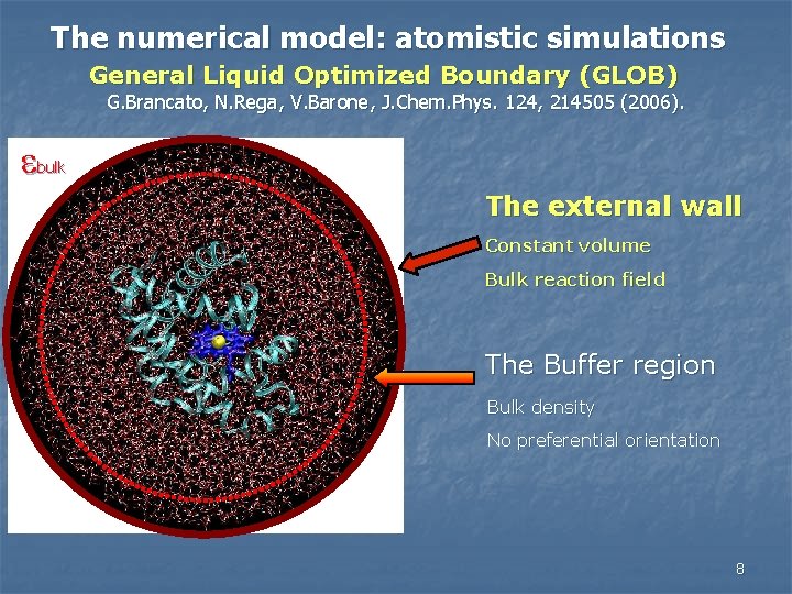 The numerical model: atomistic simulations General Liquid Optimized Boundary (GLOB) G. Brancato, N. Rega,