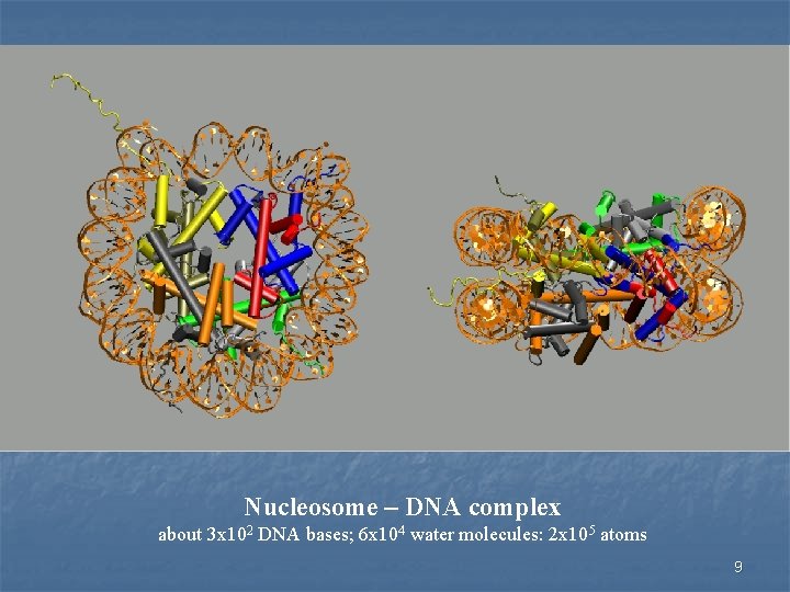 Nucleosome – DNA complex about 3 x 102 DNA bases; 6 x 104 water