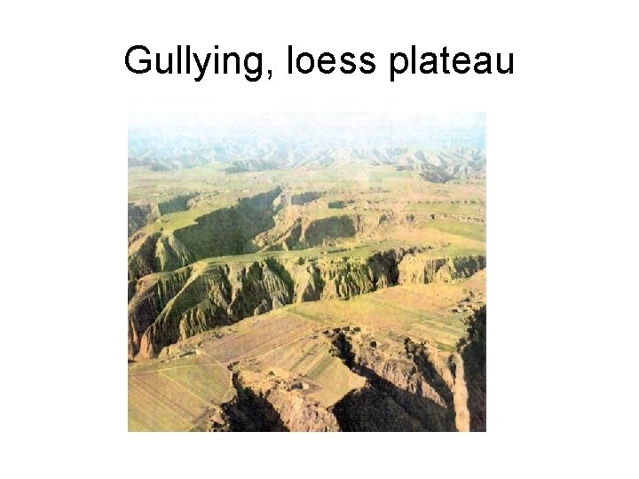 Gullying, loess plateau 