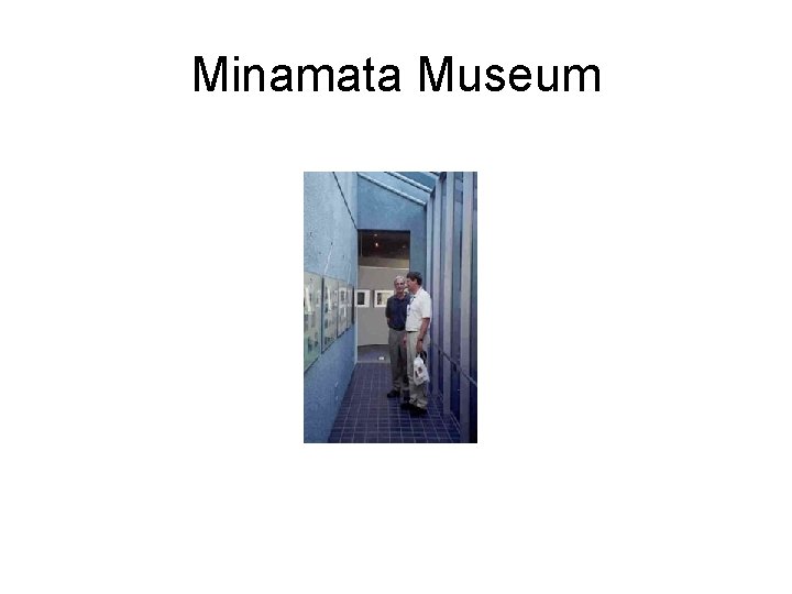 Minamata Museum 