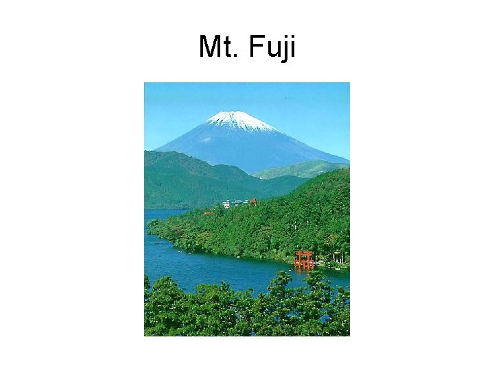 Mt. Fuji 