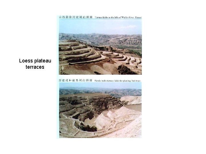 Loess plateau terraces 