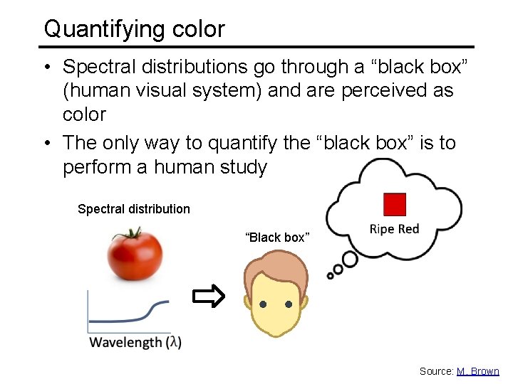 Quantifying color • Spectral distributions go through a “black box” (human visual system) and