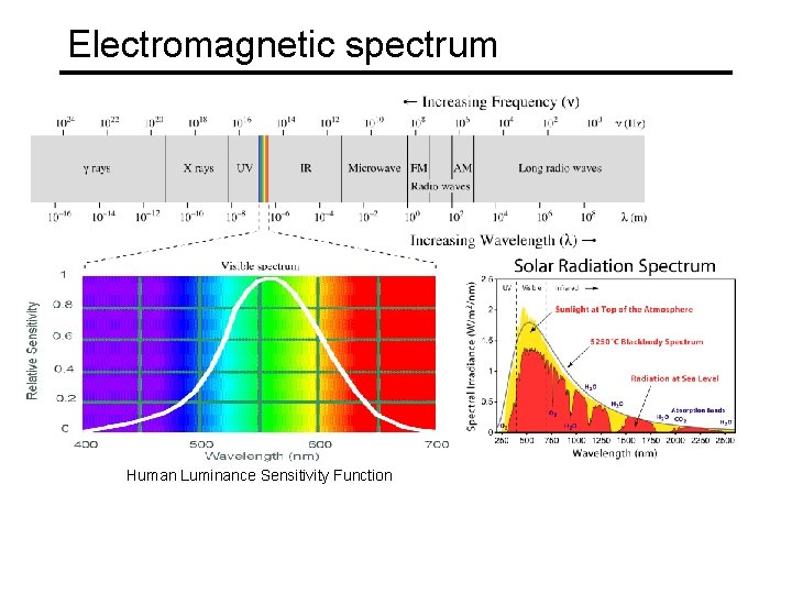 Electromagnetic spectrum Human Luminance Sensitivity Function 
