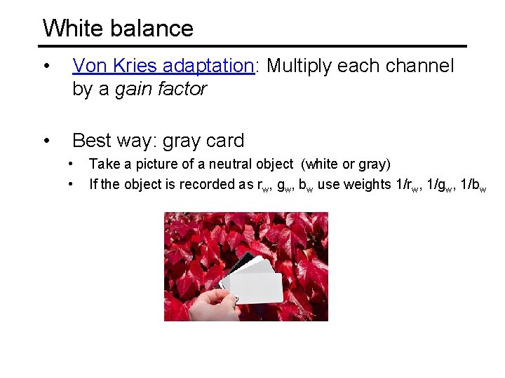 White balance • Von Kries adaptation: Multiply each channel by a gain factor •