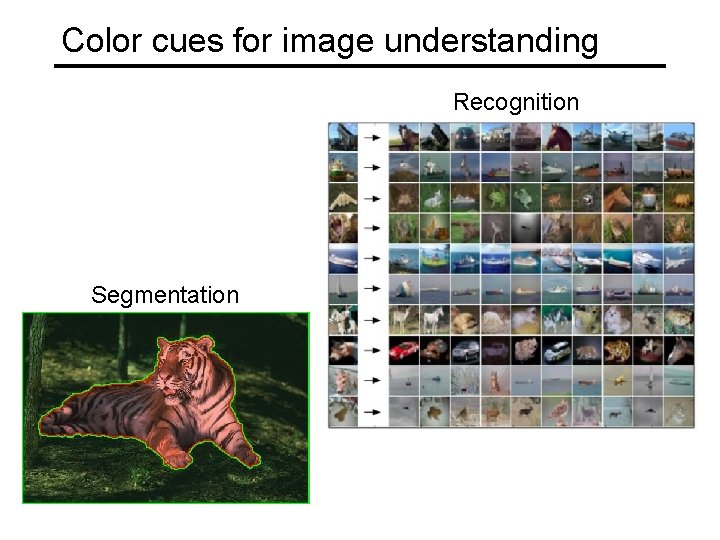 Color cues for image understanding Recognition Segmentation 