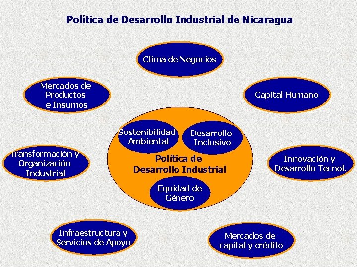 Política de Desarrollo Industrial de Nicaragua Clima de Negocios Mercados de Productos e Insumos