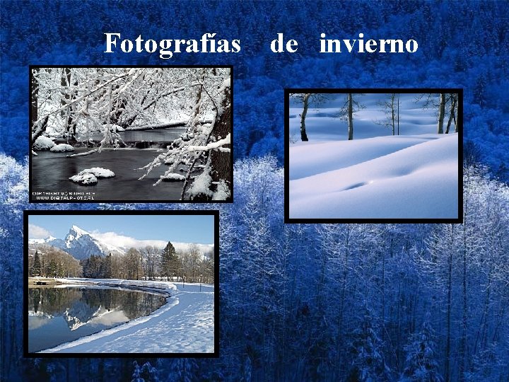 Fotografías de invierno 