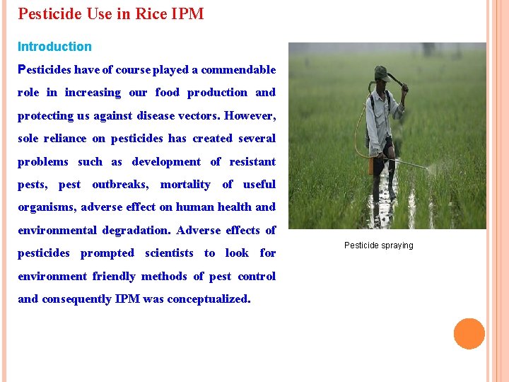 Pesticide Use in Rice IPM Introduction Pesticides have of course played a commendable role