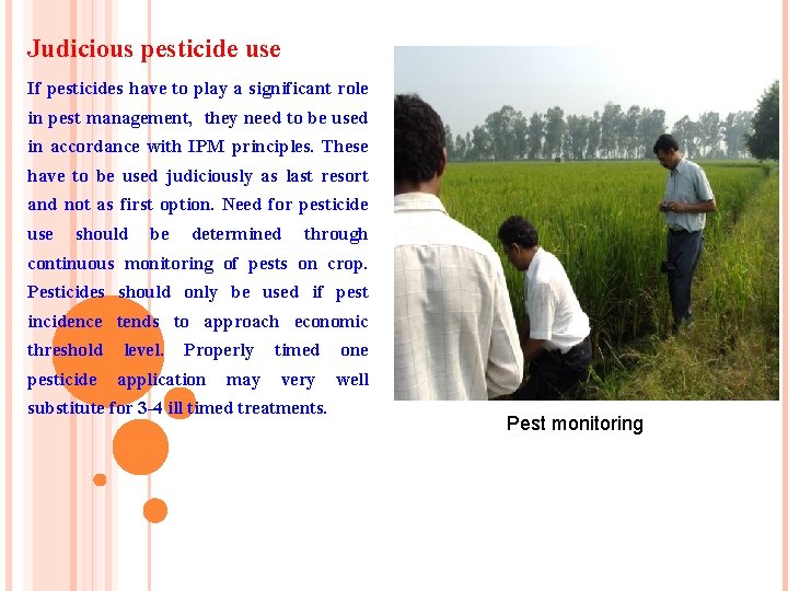 Judicious pesticide use If pesticides have to play a significant role in pest management,