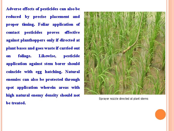 Adverse effects of pesticides can also be reduced by precise placement and proper timing.