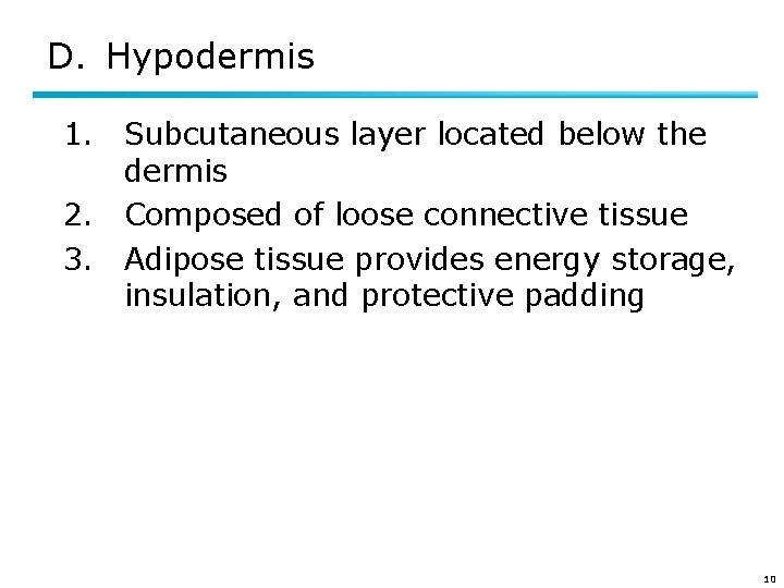 D. Hypodermis 1. Subcutaneous layer located below the dermis 2. Composed of loose connective