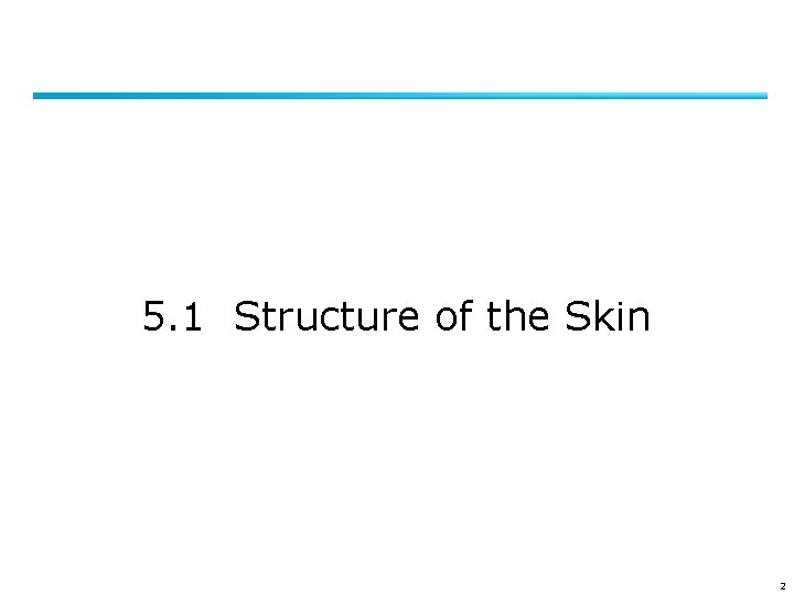 5. 1 Structure of the Skin 2 