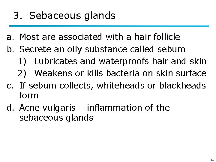 3. Sebaceous glands a. Most are associated with a hair follicle b. Secrete an